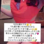 ヒメ日記 2025/05/10 15:26 投稿 ふわり Picasso(ピカソ)