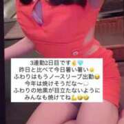 ヒメ日記 2025/05/13 15:36 投稿 ふわり Picasso(ピカソ)