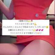 ヒメ日記 2025/05/14 15:26 投稿 ふわり Picasso(ピカソ)