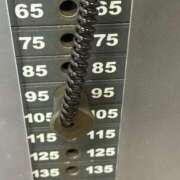 ヒメ日記 2025/05/14 20:46 投稿 ふわり Picasso(ピカソ)