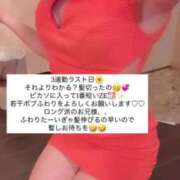 ヒメ日記 2025/05/22 15:36 投稿 ふわり Picasso(ピカソ)