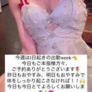 ヒメ日記 2025/05/24 15:56 投稿 ふわり Picasso(ピカソ)