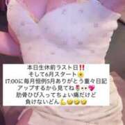 ヒメ日記 2025/06/01 15:35 投稿 ふわり Picasso(ピカソ)