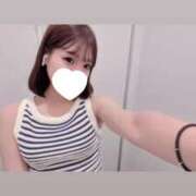 ヒメ日記 2025/06/04 19:42 投稿 ふわり Picasso(ピカソ)