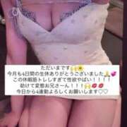 ヒメ日記 2025/06/06 15:26 投稿 ふわり Picasso(ピカソ)