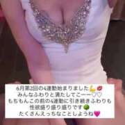 ヒメ日記 2025/06/11 15:36 投稿 ふわり Picasso(ピカソ)