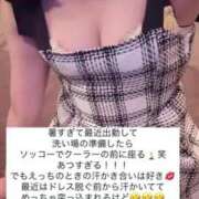 ヒメ日記 2025/06/13 15:29 投稿 ふわり Picasso(ピカソ)