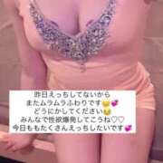 ヒメ日記 2025/06/16 15:27 投稿 ふわり Picasso(ピカソ)