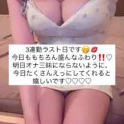 ヒメ日記 2025/06/18 15:26 投稿 ふわり Picasso(ピカソ)