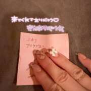 ヒメ日記 2025/06/27 08:06 投稿 ふわり Picasso(ピカソ)