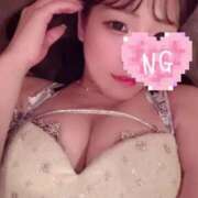 ヒメ日記 2025/06/27 17:46 投稿 ふわり Picasso(ピカソ)