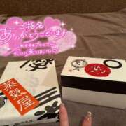 ヒメ日記 2025/06/28 11:16 投稿 ふわり Picasso(ピカソ)