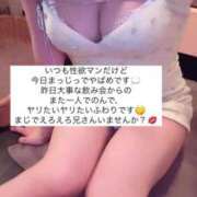 ヒメ日記 2025/06/30 15:26 投稿 ふわり Picasso(ピカソ)