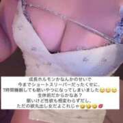 ヒメ日記 2025/07/01 15:26 投稿 ふわり Picasso(ピカソ)