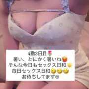 ヒメ日記 2025/07/08 15:26 投稿 ふわり 熊本ピカソ