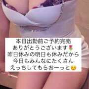 ヒメ日記 2025/07/12 15:46 投稿 ふわり Picasso(ピカソ)