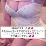 ヒメ日記 2025/07/14 15:26 投稿 ふわり Picasso(ピカソ)