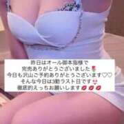 ヒメ日記 2025/07/16 15:37 投稿 ふわり Picasso(ピカソ)