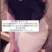 ヒメ日記 2025/07/19 15:06 投稿 ふわり Picasso(ピカソ)