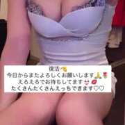 ヒメ日記 2025/07/22 15:31 投稿 ふわり Picasso(ピカソ)