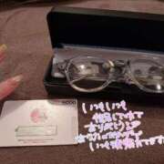 ヒメ日記 2025/07/24 11:36 投稿 ふわり Picasso(ピカソ)