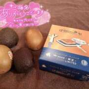 ヒメ日記 2025/07/25 09:21 投稿 ふわり Picasso(ピカソ)