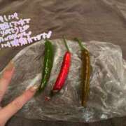 ヒメ日記 2025/07/27 12:17 投稿 ふわり Picasso(ピカソ)