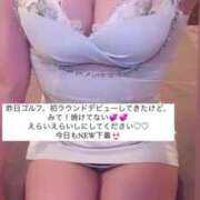 ヒメ日記 2025/07/28 15:26 投稿 ふわり Picasso(ピカソ)