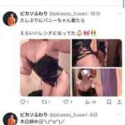 ヒメ日記 2025/08/07 21:46 投稿 ふわり Picasso(ピカソ)