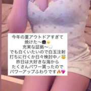 ヒメ日記 2025/08/13 15:26 投稿 ふわり Picasso(ピカソ)