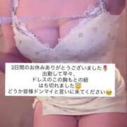 ヒメ日記 2025/08/25 15:26 投稿 ふわり Picasso(ピカソ)