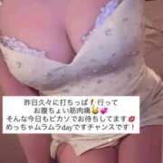 ヒメ日記 2025/08/28 15:37 投稿 ふわり Picasso(ピカソ)