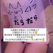 ヒメ日記 2025/08/29 15:26 投稿 ふわり Picasso(ピカソ)