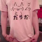 ヒメ日記 2025/08/29 17:17 投稿 ふわり Picasso(ピカソ)