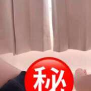 ヒメ日記 2026/02/07 18:19 投稿 ふわり 熊本ピカソ