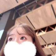 ヒメ日記 2026/02/08 15:13 投稿 ふわり 熊本ピカソ