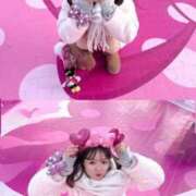 ヒメ日記 2026/02/11 12:23 投稿 ふわり 熊本ピカソ