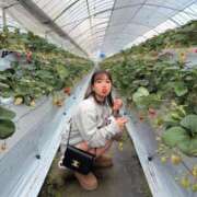 ヒメ日記 2026/02/12 14:13 投稿 ふわり 熊本ピカソ