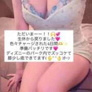 ヒメ日記 2026/02/12 15:33 投稿 ふわり 熊本ピカソ