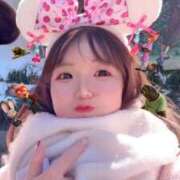 ヒメ日記 2026/02/13 15:13 投稿 ふわり 熊本ピカソ