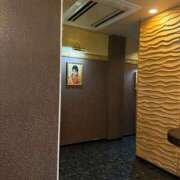 ヒメ日記 2026/02/17 23:33 投稿 ふわり 熊本ピカソ