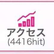 ヒメ日記 2026/02/18 11:14 投稿 ふわり 熊本ピカソ