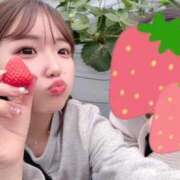 ヒメ日記 2026/02/18 17:13 投稿 ふわり 熊本ピカソ