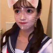 ヒメ日記 2026/02/21 11:13 投稿 ふわり 熊本ピカソ