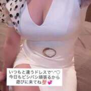 ヒメ日記 2026/02/21 15:33 投稿 ふわり 熊本ピカソ