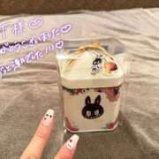 ヒメ日記 2026/02/23 08:03 投稿 ふわり 熊本ピカソ