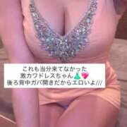 ヒメ日記 2026/02/24 15:30 投稿 ふわり 熊本ピカソ