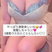 ヒメ日記 2026/03/02 15:45 投稿 ふわり 熊本ピカソ