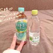 ヒメ日記 2026/03/05 11:13 投稿 ふわり 熊本ピカソ