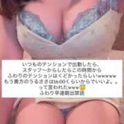ヒメ日記 2026/03/20 11:43 投稿 ふわり 熊本ピカソ